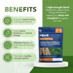 Zipvit Ginkgo Biloba 6000mg & Siberian Ginseng 600mg with Vitamins B3 & B5 Pouch, 120 Vegan Tablets, Supports Energy & Mental Performance, 4 Month Supply - Image 4