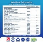 Brain Boost Nootropic Supplement, Supports Cognitive Function, Energy Levels, Focus & Memory Function - 14 Brain Boosting Ingredients Including Lions Mane, Ginkgo Biloba, Bacopa, Vitamin B12, B3, B6. - Image 3
