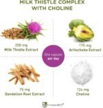 FürstenMED - Milk Thistle with Artichoke Extract, Dandelion Root & Choline - Vegan Normal Liver Health Supplement - 120 Non-GMO Capsules - Image 3