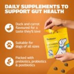 Protexin Daily Care Gut+ Wellbeing | 60 Probiotic Dog Chews, Duck and Carrot Flavour Pet Supplement | Probiotics for Dogs - Image 5