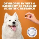 Protexin Daily Care Gut+ Wellbeing | 60 Probiotic Dog Chews, Duck and Carrot Flavour Pet Supplement | Probiotics for Dogs - Image 7