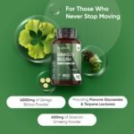 Ginkgo Biloba and Ginseng 6600mg - 365 Tablets - 1 Year Supply - 1 Tablet a Day - with Flavone Glycosides and Terpene Lactones - Vegan & Non-GMO - Ginseng and Ginkgo Biloba Complex Herbal Supplement - Image 3