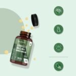 Ginkgo Biloba and Ginseng 6600mg - 365 Tablets - 1 Year Supply - 1 Tablet a Day - with Flavone Glycosides and Terpene Lactones - Vegan & Non-GMO - Ginseng and Ginkgo Biloba Complex Herbal Supplement - Image 4