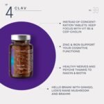 N°4 Focus - Nootropics Brain Supplement - with Lions Mane, Ginseng and Ginkgo Biloba, Bacopa Monnieri, CDP Choline, Vitamin B Complex - Cognitive Enhancer for Concentration & Memory - 60 Capsules - Image 4