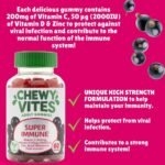 Chewy Vites Adult Super Immune, 60 Multivitamin Gummies, Extra-Strength Vitamin D 2000 IU, 200mg Vitamin C, 8mg Zinc, Elderberry, 2 Months Supply, Real Fruit Juice, Vegan, Elderberry Flavour - Image 5