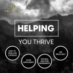 Beef Organ Complex | High Strength Grass-Fed Liver, Heart & Kidney Capsules | Supports Energy, Metabolism, Immune Health, Stamina & Vitality | 120 Capsules | Non-GMO, Gluten-Free | UK Made - Image 5