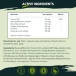 Ginkgo Biloba High Strength by NutraKing (96 Capsules) - Brain Supplement for Focus with Ginkgo Biloba (500mg), Bacopa Monnieri (1200mg), Choline (50mg), Rosemary Leaf (250mg) - Image 3