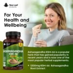 Ashwagandha KSM 66-1200mg - 180 Vegan Tablets Pure High Strength Ashwagandha Root Extract - 3 Months Supply KSM Tablets Supplement (not Capsules) Non-GMO & UK Made - Image 4