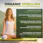 Spirulina Powder | Organic | 500g | Natural Immune System Booster | MySuperfoods - Image 4