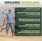 Spirulina Powder | Organic | 500g | Natural Immune System Booster | MySuperfoods - Image 5