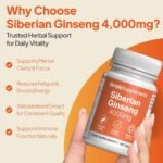 Siberian Ginseng Tablets | Supports Mental Performance & Reduces Fatigue | Suitable for Vegans and Vegetarians | 360 Tablets = 6 Months’ Supply | Made in The UK in Accordance with GMP Standards - Image 3