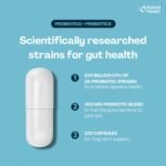 Hybrid Health Probiotics & Prebiotics Complex | 120 Vegan Capsules | 100 Billion CFU | Advanced Strength Probiotics with 20 Diverse Strains | Pre & Probiotic for Women and Men - Image 4