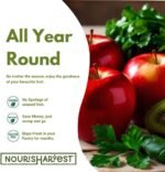 Nourisharvest Green Smoothie Powder – 100% Natural Wholefood Blend with Apples, Kiwifruit, Spinach & Parsley – Nutrient-Dense Superfood Mix – Vegan, Gluten-Free, Energy & Immune Boost – 200 grams - Image 5