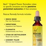Rescue Remedy Comfort & Reassure Dropper (20ml) Promotes Calm, Support in Times of Emotional Demand, Natural Emotional Wellness, Flower Essences, Support in a Stress Full Moment - Image 4