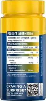 Wellgard Himalayan Shilajit Gummies – Formulated with Ashwagandha, B-Vitamins, and Zinc, Vegan - Image 3