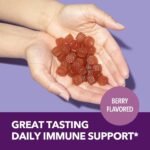 Elderberry Gummies Immune Support Supplements for Adults | Sambucus Black Elderberry Extract Immune Support Gummies | Vitamin C & Zinc Added | Berry Flavor | Vegan, Gluten-Free, Non-GMO | 60 Ct. - Image 7