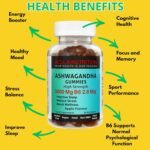Aclla Ashwagandha Gummies 3000mg with B6 – Vegan Apple Flavor – Stress, Sleep, Anxiety & Mood Support – Adaptogen Energy Booster – 60 Gummies (1 Month Supply) - Image 4