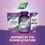 Nature's Way Sambucus Elderberry 60 Gummies for Kids | Immune System Support | Supplement with Vitamin C and Zinc | Gluten Free & Vegetarian - Image 6