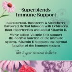 Twinings Superblends Immune Support Tea - Blackcurrant, Raspberry & Elderberry Herbal Tea Infusion with Echinacea Root & Vitamin D, 80 x Biodegradable Tea Bags - Image 3
