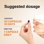 Jung Kwan Jang Korean Red Ginseng Extract Capsules Plus All-in-1 Focus Pills for Men & Women, Natural Energy Supplements,Circulation, Immune Support, Brain Booster - 30 Capsules CheongKwanJang - Image 5