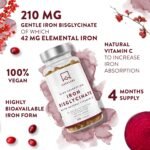 Gentle Iron Supplements for Women and Men - 42 mg Iron Tablets high Strength with Natural Vitamin C - Active Form - bisglycinate - Fatigue Supplements with high bioavailability - 120 Capsules - Image 3