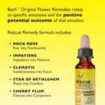 Rescue Remedy Comfort & Reassure Dropper (10ml) Promotes Calm, Support in Times of Emotional Demand, Natural Emotional Wellness, Flower Essences, Support in a Stress Full Moment - Image 4