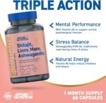 Applied Nutrition - Solutions - Shilajit, Lion’s Mane & Ashwagandha - High Strength Nootropic & Adaptogen Blend - Mental Clarity, Stress & Energy Support - 60 Capsules - 30 Servings - Image 3