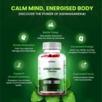 Flebo Ashwagandha High Strength Gummies, Vegan & Gluten-Free I Stress & Anxiety Relief for Adults, Ashwagandha Gummies Supplement for Relaxation and Wellness 60 Two - A - Day I Apple Flavor - Image 4