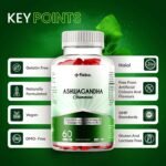 Flebo Ashwagandha High Strength Gummies, Vegan & Gluten-Free I Stress & Anxiety Relief for Adults, Ashwagandha Gummies Supplement for Relaxation and Wellness 60 Two - A - Day I Apple Flavor - Image 6