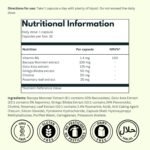 Ginkgo Biloba High Strength by NutraKing (32 Day Supply) - Brain Supplement for Focus with Ginkgo Biloba (500mg - 24% Flavonoids), Bacopa Monnieri (1200mg), Choline (50mg), Rosemary Leaf (250mg) - Image 3