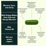 Ginkgo Biloba High Strength by NutraKing (32 Day Supply) - Brain Supplement for Focus with Ginkgo Biloba (500mg - 24% Flavonoids), Bacopa Monnieri (1200mg), Choline (50mg), Rosemary Leaf (250mg) - Image 4