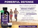 Immunia Synergy. Elderberry Supplement for Immune System Support - Powerful Natural Antioxidant. POLYPHENOLS Concentrate. Elderberries from Canada (1-Pack) - Image 3