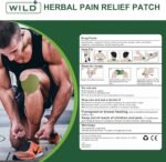 WILD+ Knee Pain Relief Patches, 40PCS Natural Knee Patch for Pain Relief, Wormwood Herbal Pain Relief Patches Heat Patches for Knee/Back/Neck/Shoulder/Joint Pain, Muscle Soreness - Image 5