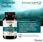 Himalaya Organic Ashwagandha (Indian Ginseng), 60 Day Supply, Herbal Supplement for Stress Relief, Energy Support, Occasional Sleeplessness, Certified Organic, Vegan, Gluten Free, 670 mg, 60 Caplets - Image 8