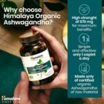 Himalaya Organic Ashwagandha (Indian Ginseng), 60 Day Supply, Herbal Supplement for Stress Relief, Energy Support, Occasional Sleeplessness, Certified Organic, Vegan, Gluten Free, 670 mg, 60 Caplets - Image 13