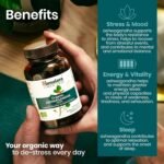 Himalaya Organic Ashwagandha (Indian Ginseng), 60 Day Supply, Herbal Supplement for Stress Relief, Energy Support, Occasional Sleeplessness, Certified Organic, Vegan, Gluten Free, 670 mg, 60 Caplets - Image 14
