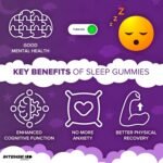 INTENSE Wellness 90 Easy Sleep Gummies – Natural Non-GMO/Vegan Herbal Sleep Gummies – Sugar Free Sleep Aid Dietary Supplements – Chewable Raspberry Flavoured - Image 4
