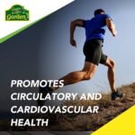 NaturesPlus Source of Life Garden Iron - 18 mg Organic Plant Based Gentle Iron Supplement, Highly Bioavailable - Vegan, Gluten Free, One A Day - 30 Capsules - Image 5