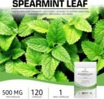 Bodygenix Spearmint Leaf Capsules - 500mg Hormonal Balance Digestive Health Fatigue & Stress Relief Support Antioxidant Formula Natural Food Supplement - 120 Capsules 4 Month Supply - Image 3