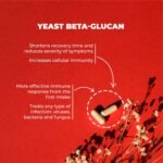 Vitae ImmunoVita 30 Capsules | Yeast Betaglucans, Vitamin D3, Vitamin B6 and Zinc | Activate Defenses | Strengthen The Immune System - Image 4