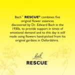 Rescue Night Dropper | Aid a Natural Night's Sleep | Bach Original Flower Essences | Easy-to-Use 20ml Dropper | Help Switch Off Repetitive Thoughts for Restful Sleep​ - Image 4