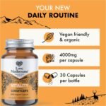 Love Mushrooms - Organic Cordyceps Capsules - 15,000mg - Cordyceps Mushroom Supplement for Endurance and Energy Boost - Vegan and Made in The UK - Natural Colours and Flavours - 30 Capsules - Image 4