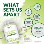 Bio-Cultures Complex - 180 High Strength Capsules - Lactobacillus Acidophilus, Rhamnosus & Bifidobacterium - 6 Month Supply - Gentle Vegetarian Multi-Strain Formula for Men & Women - Nu U Nutrition - Image 5