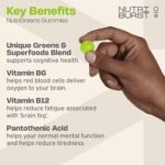 Nutriburst - NutriGreens - 22 Fruits + Vegetables + Herbs + Mushrooms + Live Bacteria Cultures - Boosted with Vitamins: Zinc, VIT C, D3, B5, B6, B12-60 Gummies 1 Month Supply - Suitable for Vegans - Image 3