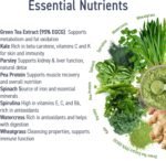 Applied Nutrition Critical Greens - Super Greens Powder, Boost Your Immune System with Superfood Nutrients, Vegan (150g - 30 Servings) (Lemon & Lime) - Image 4