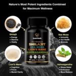 Shilajit, Sea Moss, Lion's Mane, and Ashwagandha Capsules - Comprehensive All-in-One Wellness Supplement for Mind, Body, and Vitality - 60 Vegan Capsules by NuetonHealth UK - Image 3