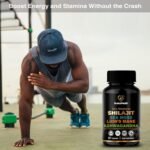 Shilajit, Sea Moss, Lion's Mane, and Ashwagandha Capsules - Comprehensive All-in-One Wellness Supplement for Mind, Body, and Vitality - 60 Vegan Capsules by NuetonHealth UK - Image 4