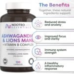 Nootro Labs Essentials Ashwagandha and Lions Mane Capsules (60 Servings), High Strength Cortisol Lowering Supplement To Support Focus, Brain Fog and Energy - Image 3