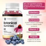 Botanical Gummies, 60 Blueberry Flavoured Gummies with Echinacea, Elderberry and Vitamin C, 30 Day Supply - Image 3