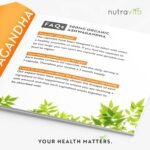 Organic Ashwagandha KSM-66® with 5% Withanolides - Vegan Friendly with The Highest Concentration Most Bioavailable Full-Spectrum Root Powder for Immune Support - Made in The UK by Nutravita - Image 5